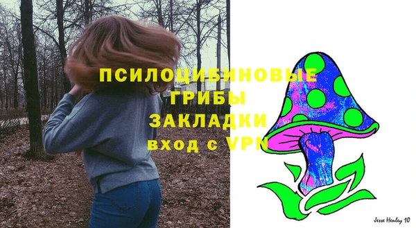МДПВ Вязники
