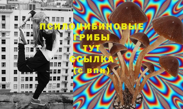 МДПВ Вязники
