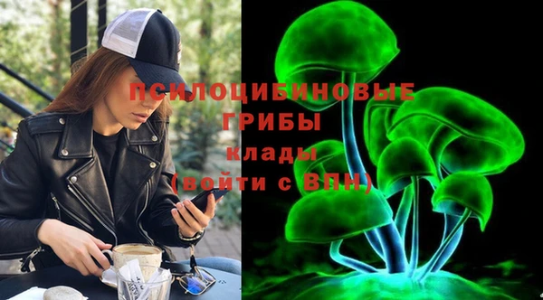 МДПВ Вязники